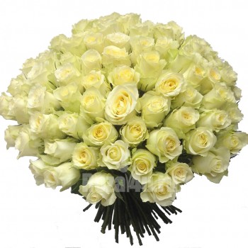 Какие цветы дарят в январе?