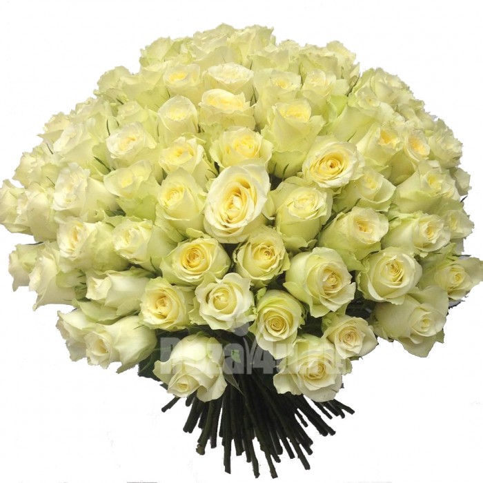 Какие цветы дарят в январе?