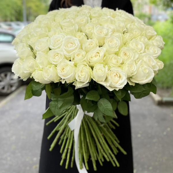 101 белая роза Премиум