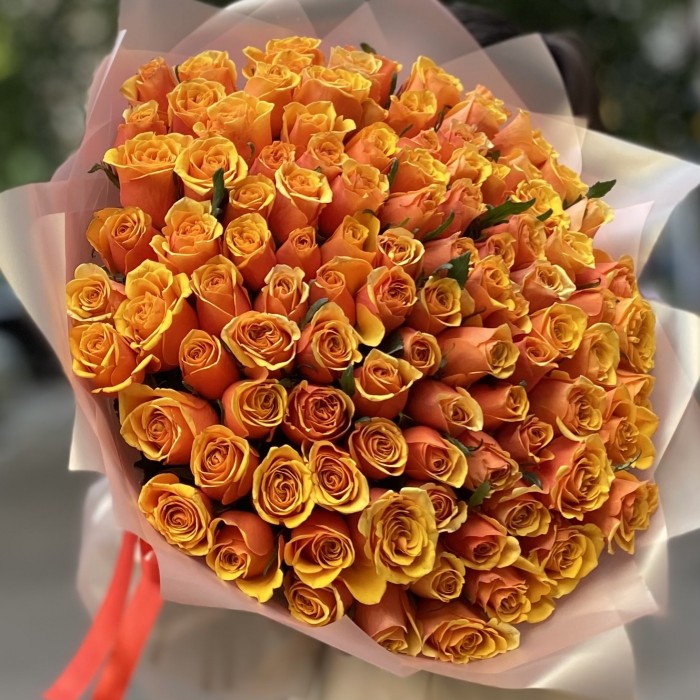 101 оранжевая роза Бермуда