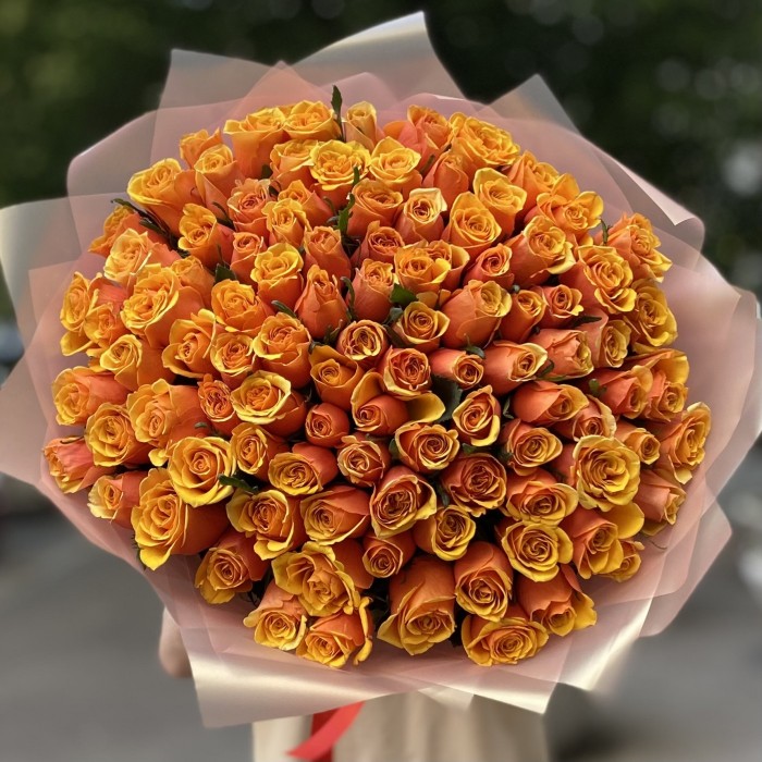 101 оранжевая роза Бермуда