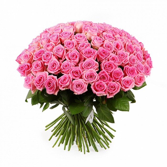 Почему розовые лепестки так притягательны?  