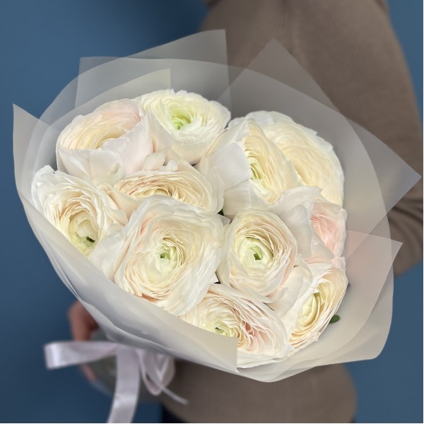 11 бело-розовых ранункулюсов Ханой