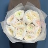 11 бело-розовых ранункулюсов Ханой