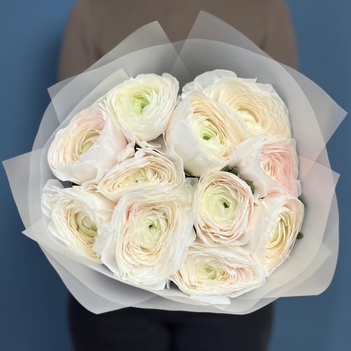 11 бело-розовых ранункулюсов Ханой
