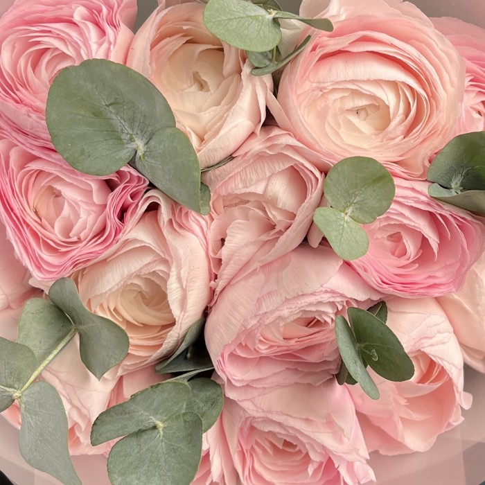 15 розовых ранункулюсов с эвкалиптом