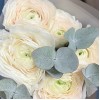 5 ранункулюсов Ханой с эвкалиптом