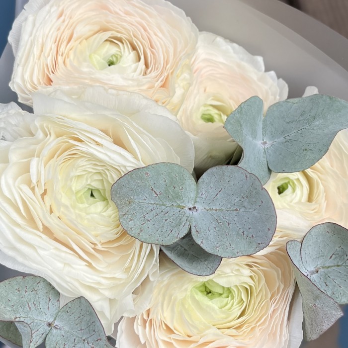 5 ранункулюсов Ханой с эвкалиптом