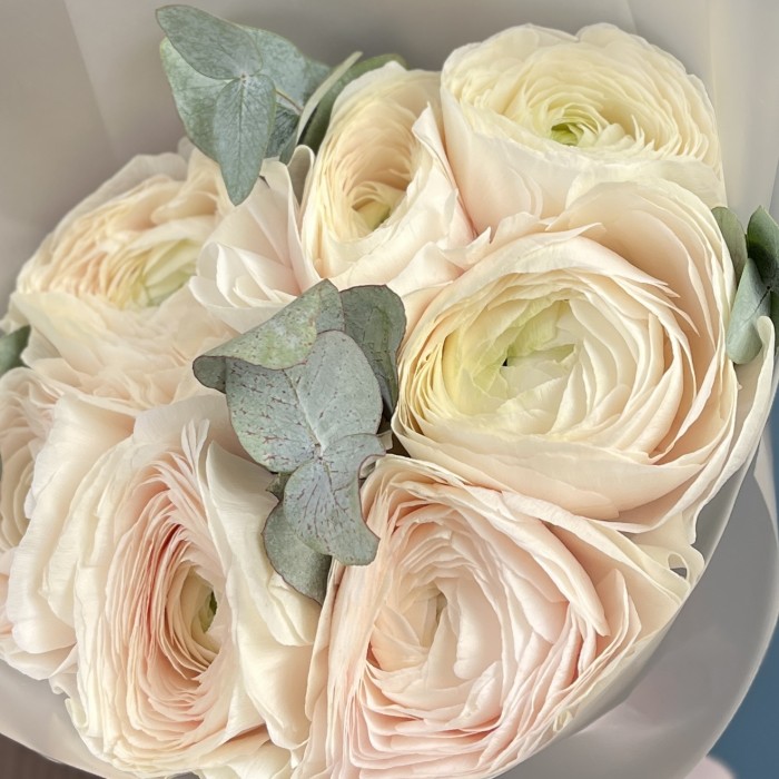 7 ранункулюсов Ханой с эвкалиптом