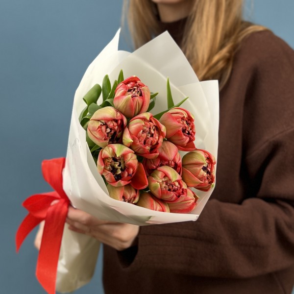 11 красно-зеленых пионовидных тюльпанов