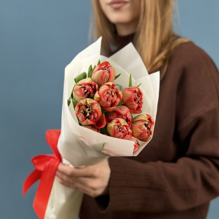 11 красно-зеленых пионовидных тюльпанов