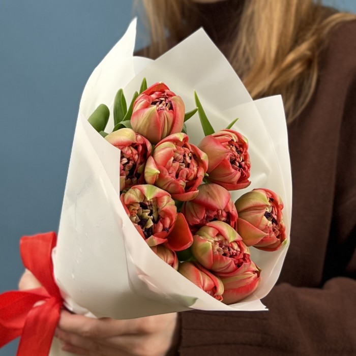 11 красно-зеленых пионовидных тюльпанов