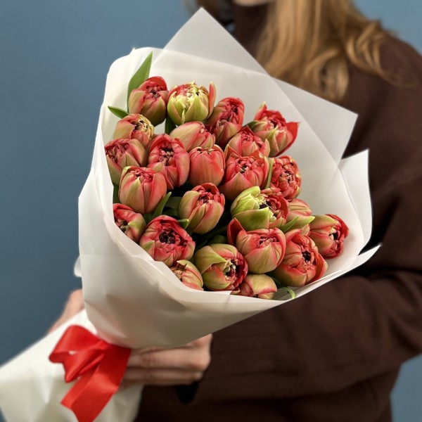 15 красно-зеленых пионовидных тюльпанов