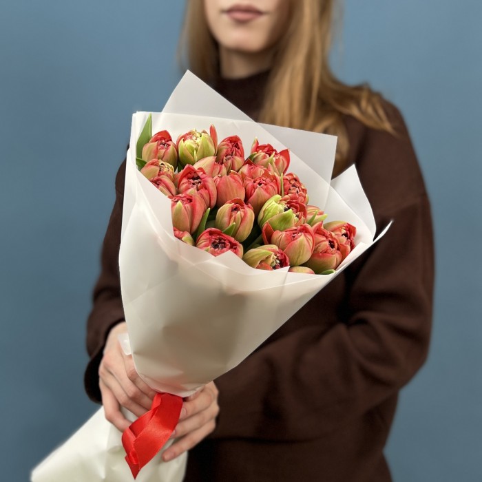 15 красно-зеленых пионовидных тюльпанов