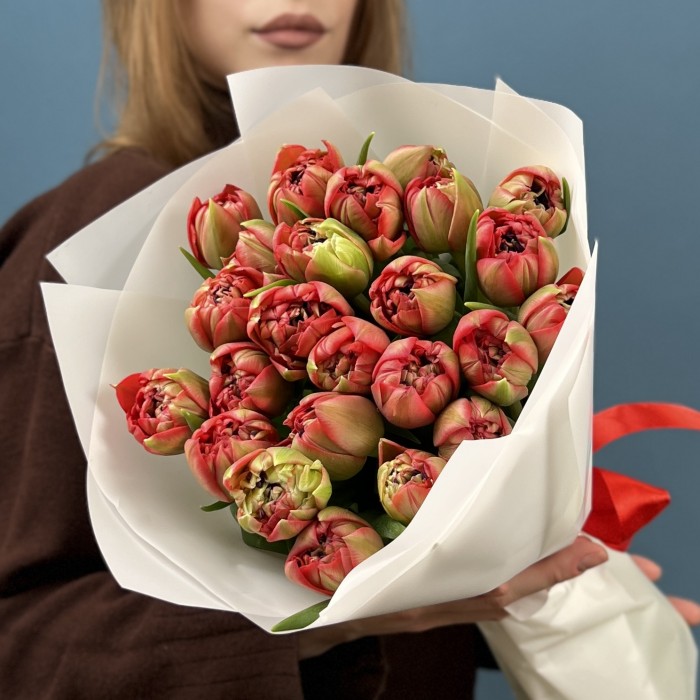 15 красно-зеленых пионовидных тюльпанов