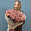 15 сиреневых хризантем Кутюр
