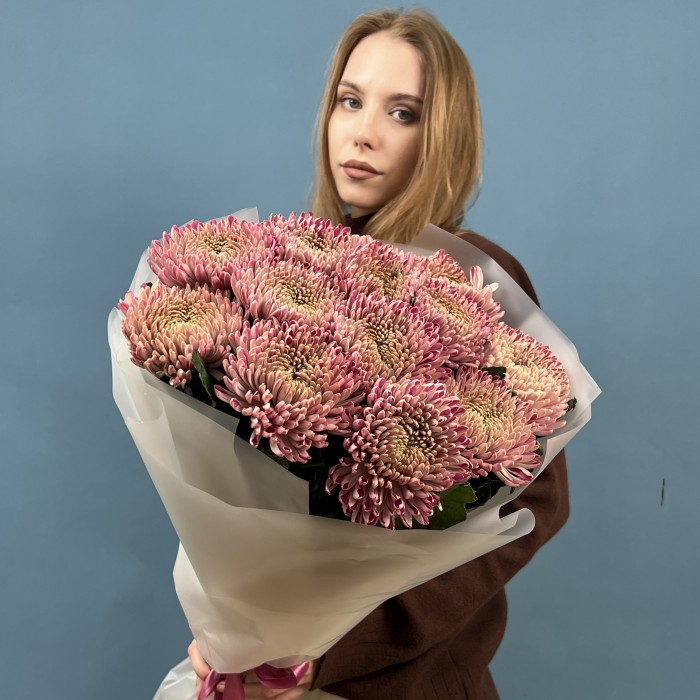 15 сиреневых хризантем Кутюр