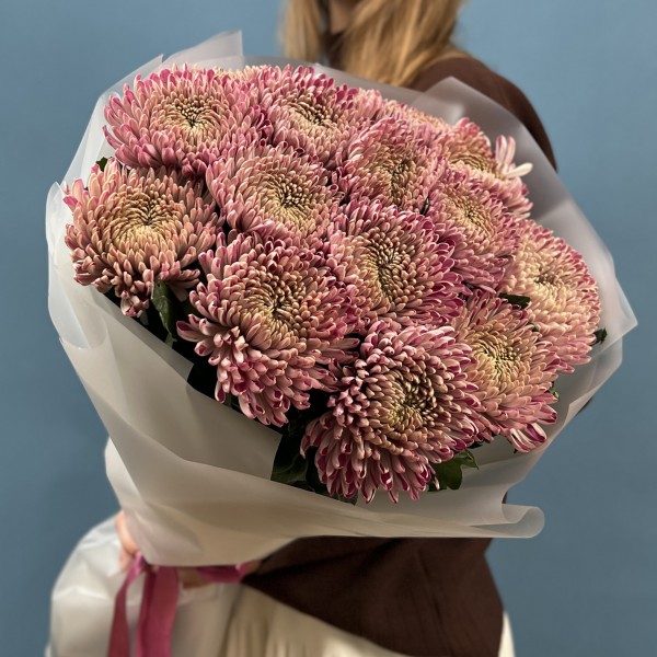 15 сиреневых хризантем Кутюр