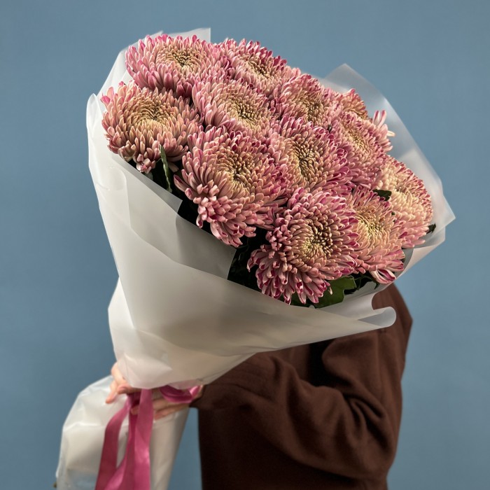 15 сиреневых хризантем Кутюр