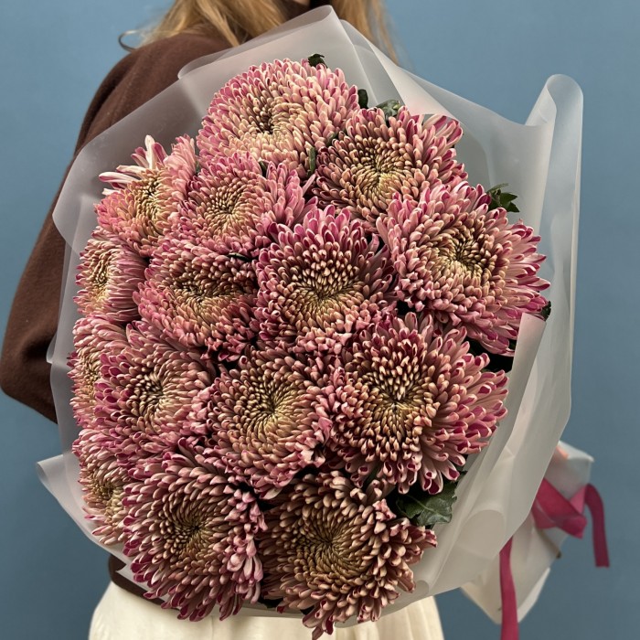 15 сиреневых хризантем Кутюр