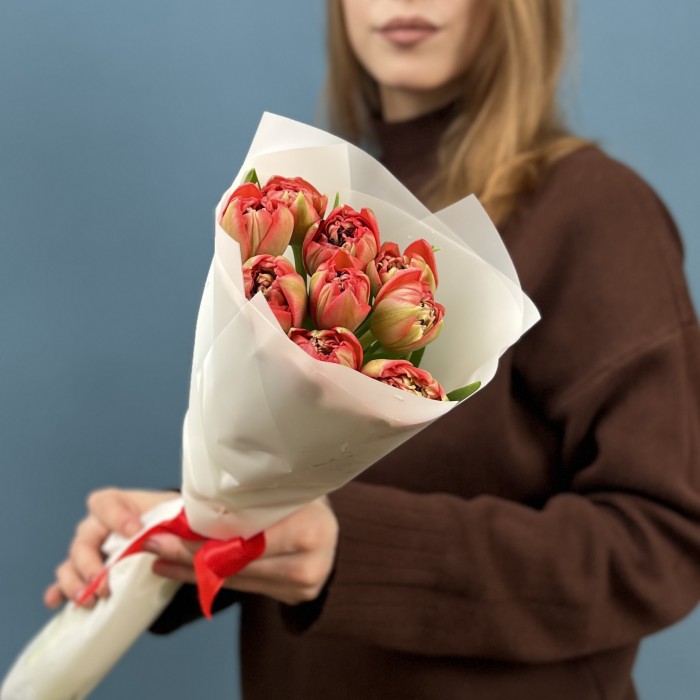 9 красно-зеленых пионовидных тюльпанов