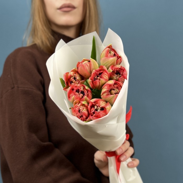 9 красно-зеленых пионовидных тюльпанов