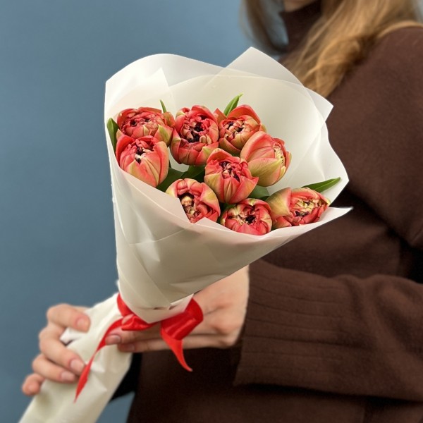 9 красно-зеленых пионовидных тюльпанов