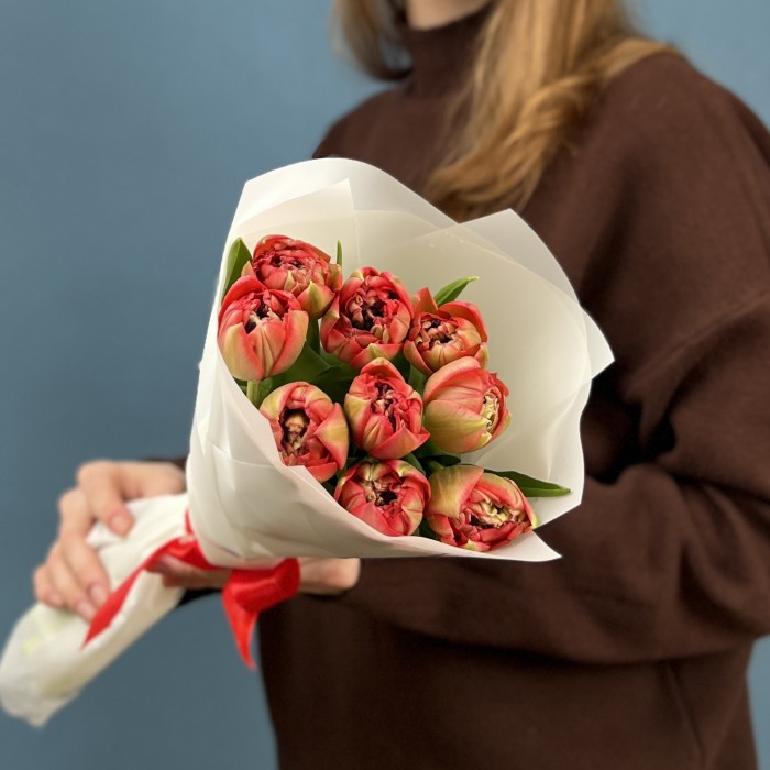 9 красно-зеленых пионовидных тюльпанов