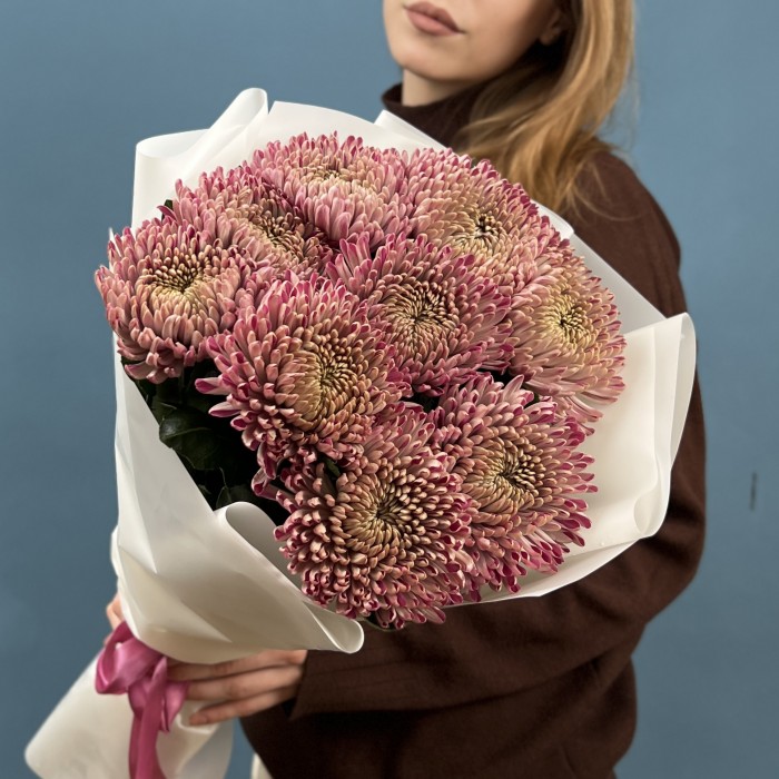 9 сиреневых хризантем Кутюр