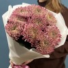 9 сиреневых хризантем Кутюр
