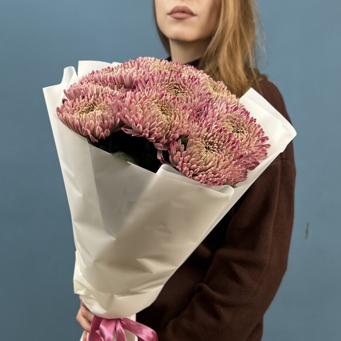 9 сиреневых хризантем Кутюр