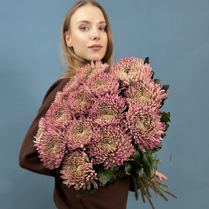 Хризантема сиреневая Кутюр