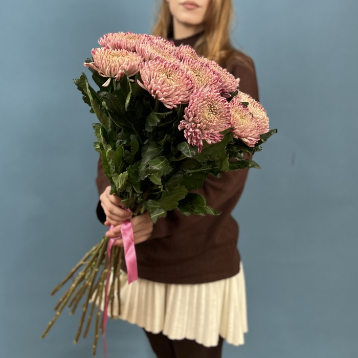 Хризантема сиреневая Кутюр