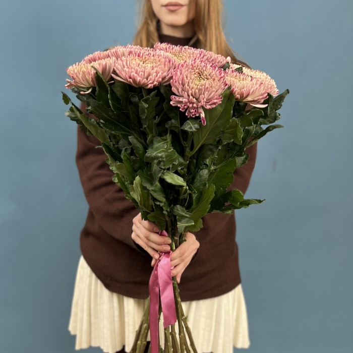 Хризантема сиреневая Кутюр