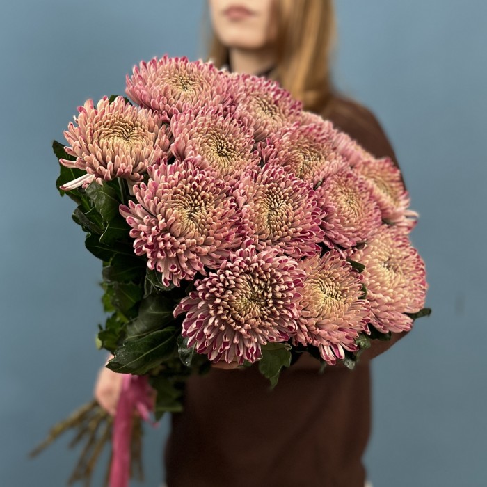 Хризантема сиреневая Кутюр