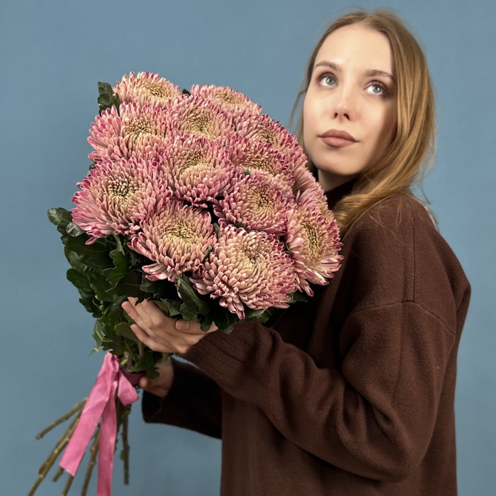 Хризантема сиреневая Кутюр