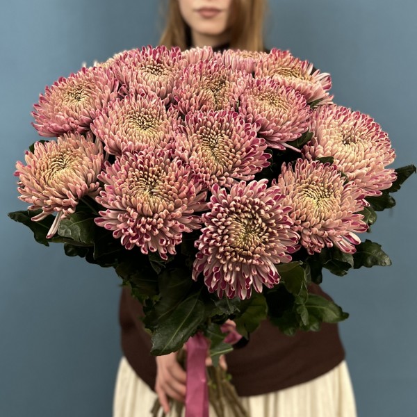 Хризантема сиреневая Кутюр