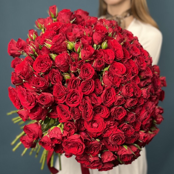 101 кустовая красная роза Велвет Блоссом 40 см