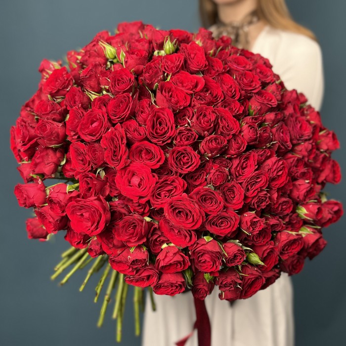 101 кустовая красная роза Велвет Блоссом 40 см