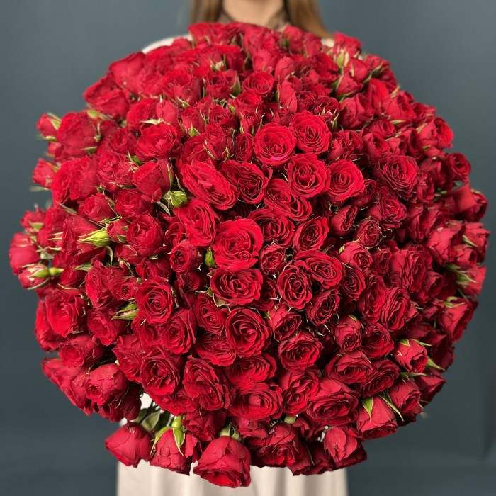 101 кустовая красная роза Велвет Блоссом 40 см