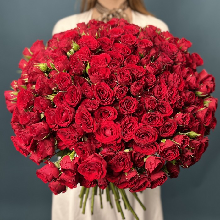 101 кустовая красная роза Велвет Блоссом 40 см