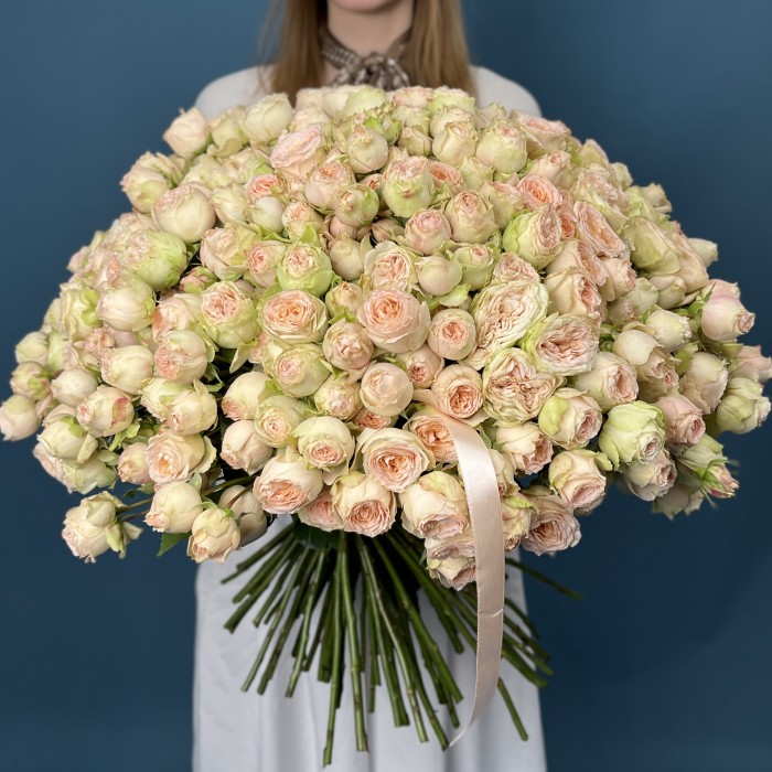 101 кустовая  персиково-зелёная роза Павлова 50 см