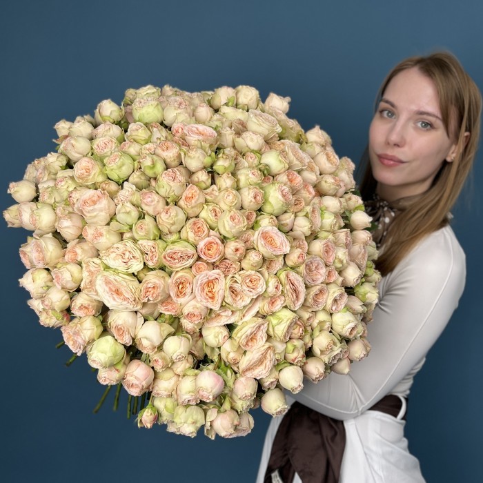 101 кустовая  персиково-зелёная роза Павлова 50 см