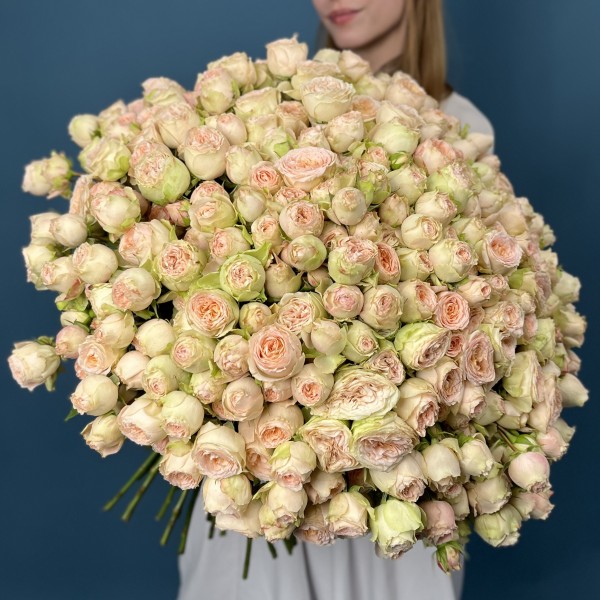 101 кустовая пионовидная роза Павлова 40 см