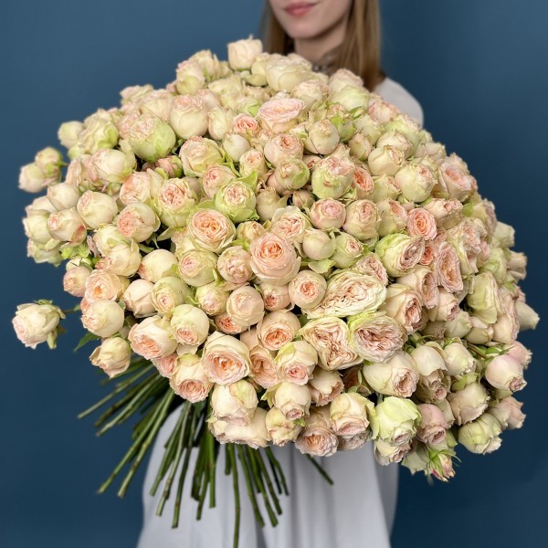 101 кустовая  персиково-зелёная роза Павлова 50 см