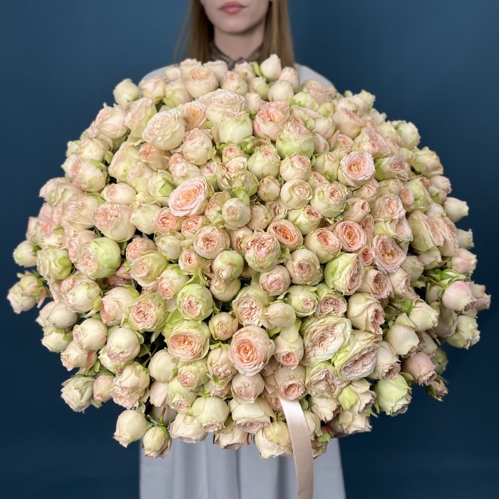 101 кустовая  персиково-зелёная роза Павлова 50 см