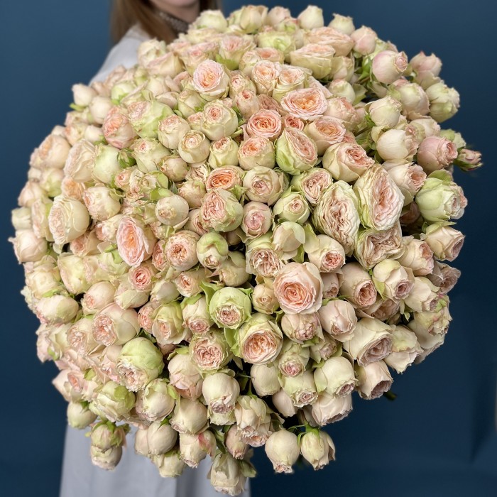 101 кустовая  персиково-зелёная роза Павлова 50 см