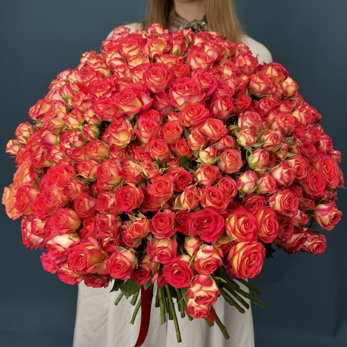 101 яркая кустовая роза Саммер Дэнс 50 см