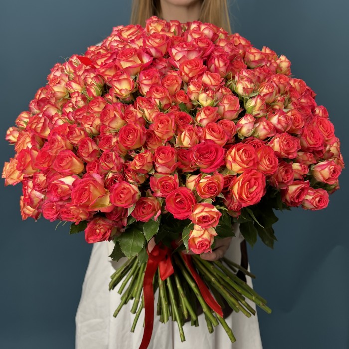 101 яркая кустовая роза Саммер Дэнс 50 см