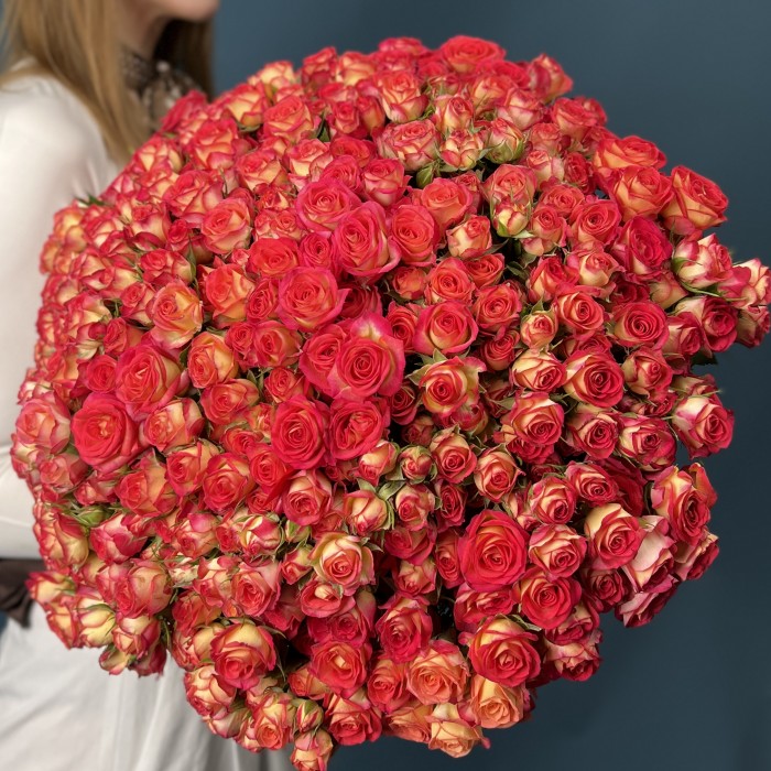 101 яркая кустовая роза Саммер Дэнс 50 см